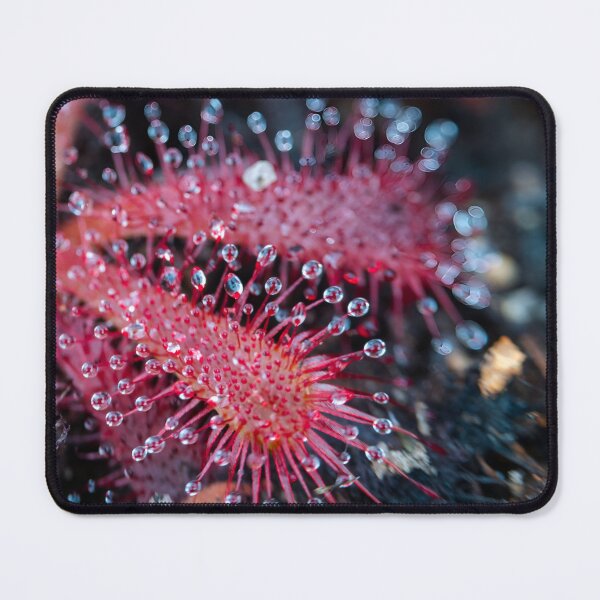 Item preview, Nature's Deadly Beauty designed and sold by Pixel Press Prints.