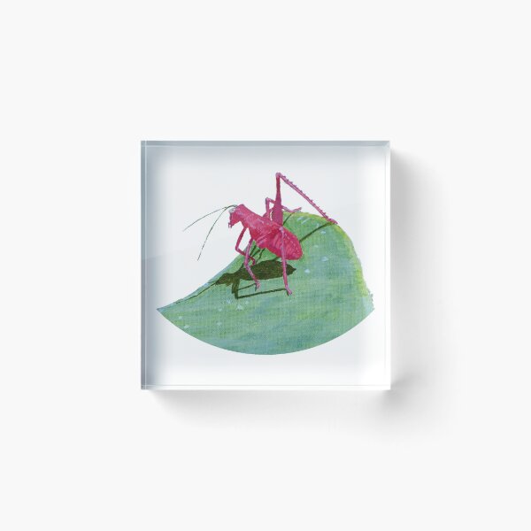 Item preview, pinkgrasshopper.com.au white background designed and sold by RobertBarkerArt.