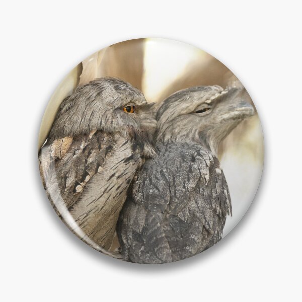Item preview, Beautiful Tawny Frogmouths designed and sold by imaginethis.