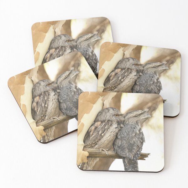 Item preview, Beautiful Tawny Frogmouths designed and sold by imaginethis.