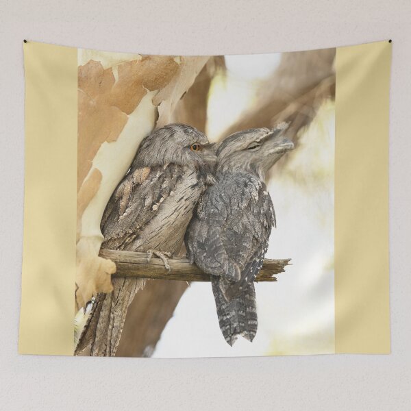 Item preview, Beautiful Tawny Frogmouths designed and sold by imaginethis.