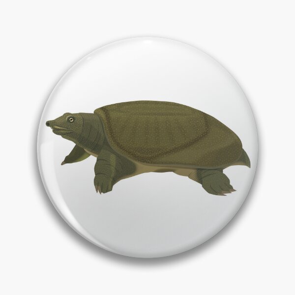 Item preview, Far Eastern Softshell Turtle designed and sold by Rie-TortoTurtle.
