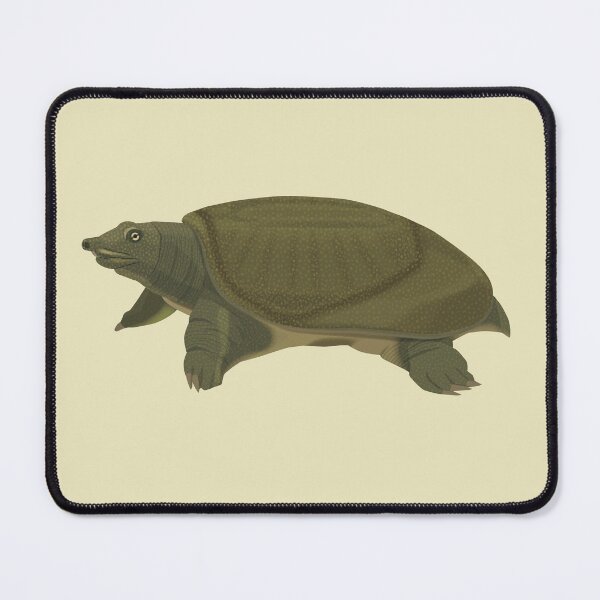 Item preview, Far Eastern Softshell Turtle designed and sold by Rie-TortoTurtle.