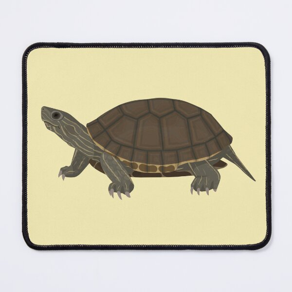 Item preview, Caspian Turtle designed and sold by Rie-TortoTurtle.
