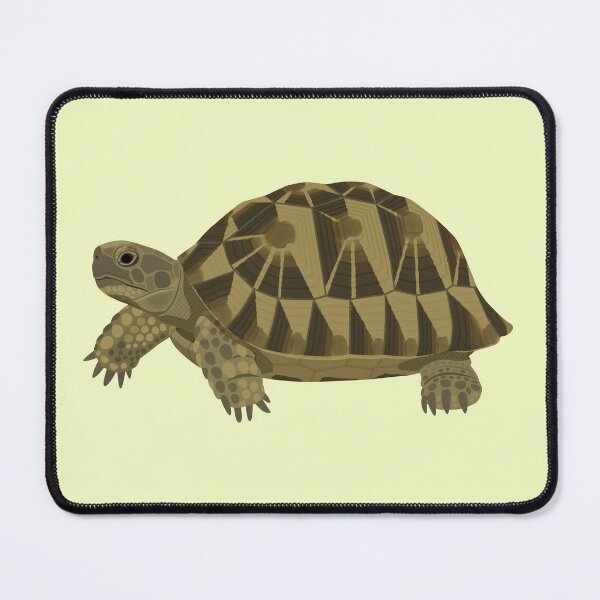 Item preview, Greek Tortoise designed and sold by Rie-TortoTurtle.