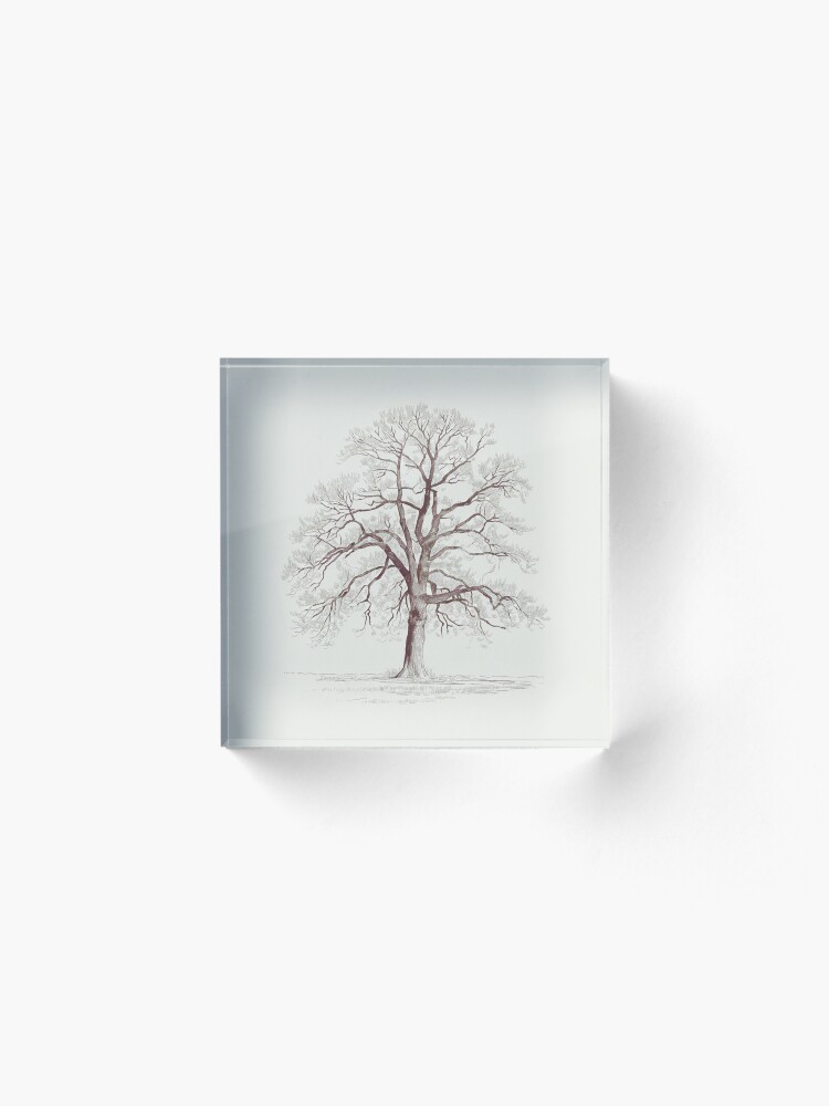 Thumbnail 2 of 5, Acrylic Block, Bare Tree designed and sold by Patricks-Art.