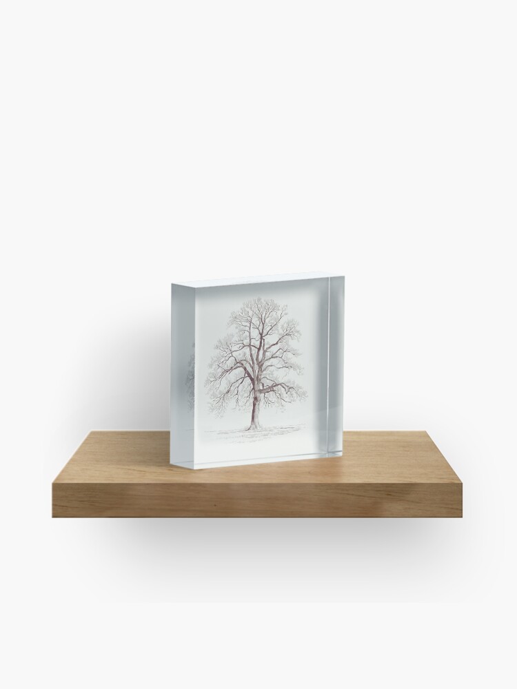 Thumbnail 1 of 5, Acrylic Block, Bare Tree designed and sold by Patricks-Art.
