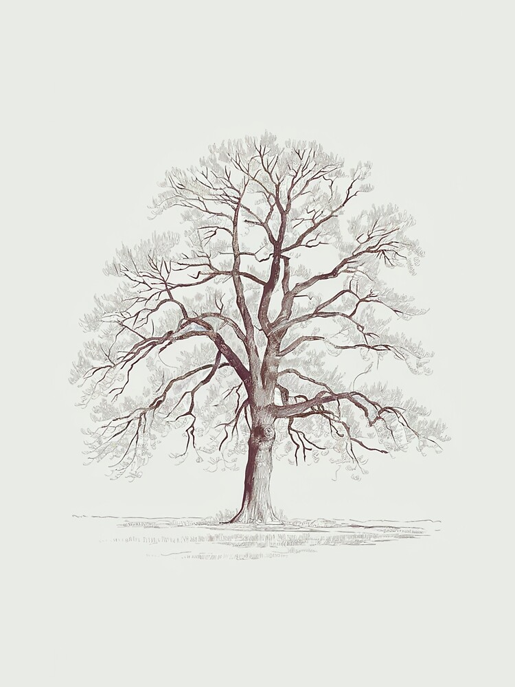 Thumbnail 5 of 5, Graphic T-Shirt, Bare Tree designed and sold by Patricks-Art.