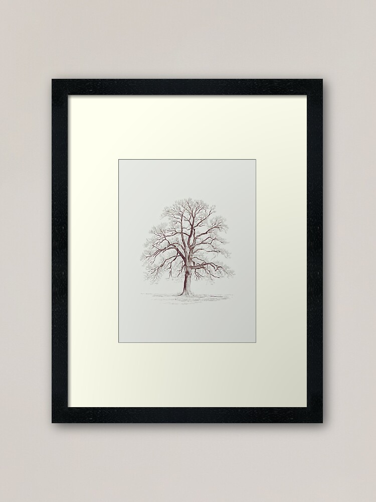 Thumbnail 1 of 7, Framed Art Print, Bare Tree designed and sold by Patricks-Art.