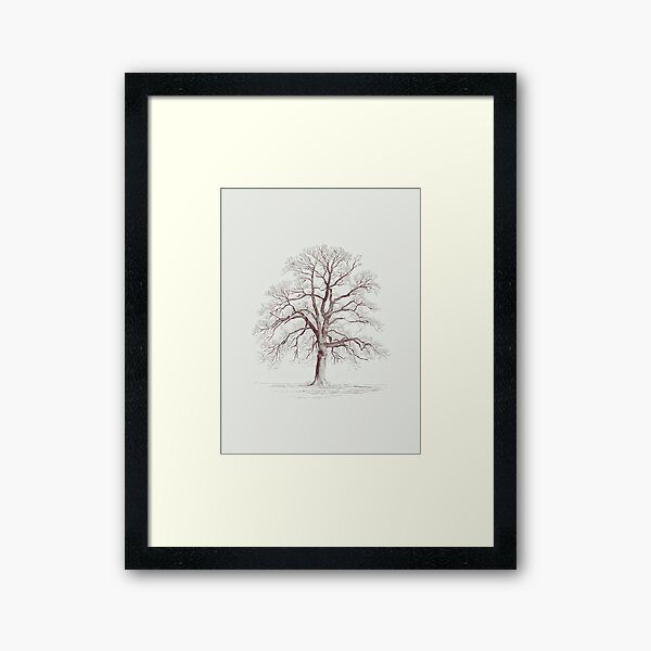 Framed Art Print