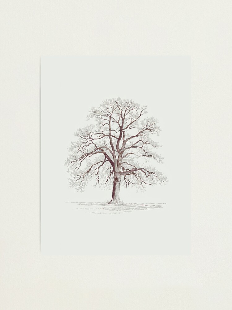 Thumbnail 1 of 3, Photographic Print, Bare Tree designed and sold by Patricks-Art.