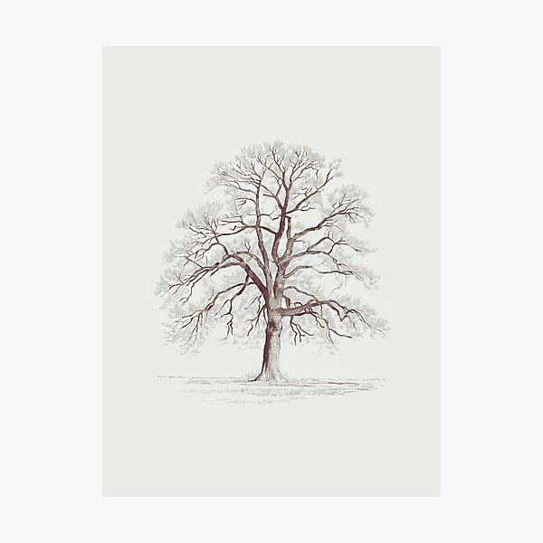 Photographic Print