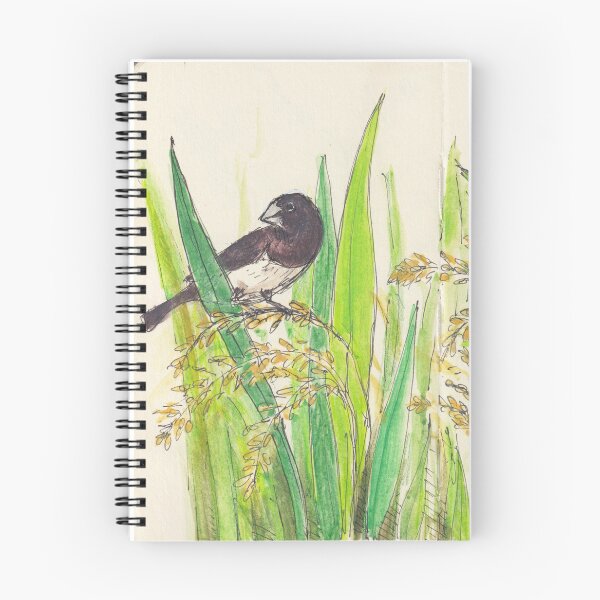 Item preview, White rumped Munia  designed and sold by BirdsAndBrush.