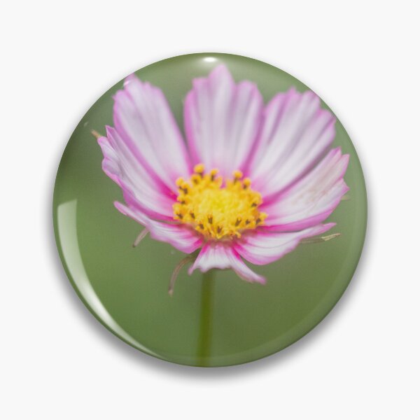 Item preview, Fragile Flower 3 designed and sold by Geoff Treagus.
