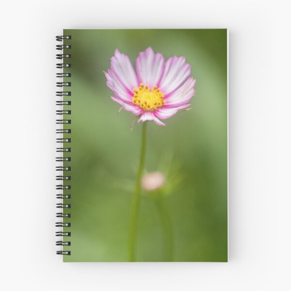 Item preview, Fragile Flower 3 designed and sold by Geoff Treagus.