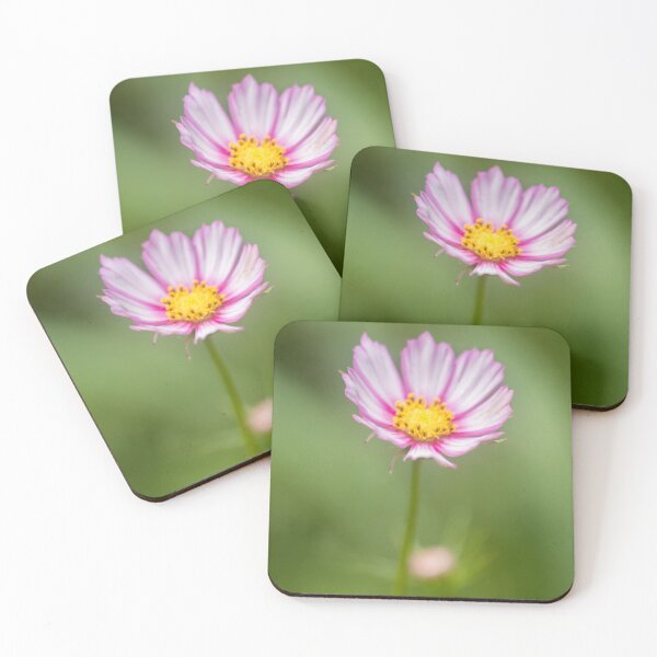 Item preview, Fragile Flower 3 designed and sold by Geoff Treagus.