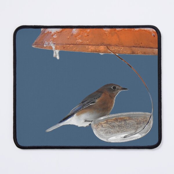 Item preview, Bluebird in Winter designed and sold by Uni356.