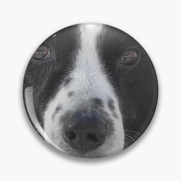 Item preview, Border Collie designed and sold by Uni356.