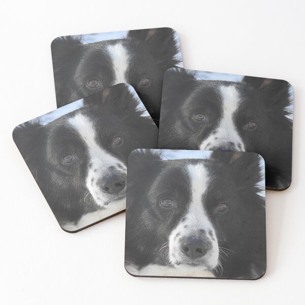 Item preview, Border Collie designed and sold by Uni356.