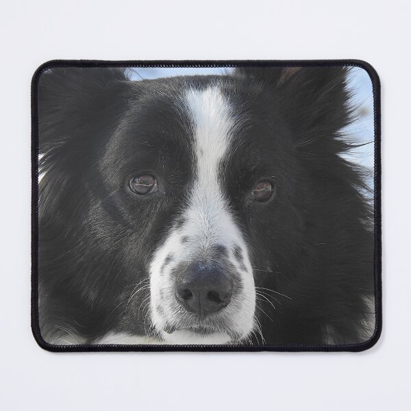 Item preview, Border Collie designed and sold by Uni356.