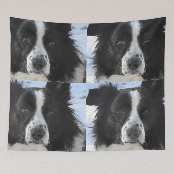 Item preview, Border Collie designed and sold by Uni356.
