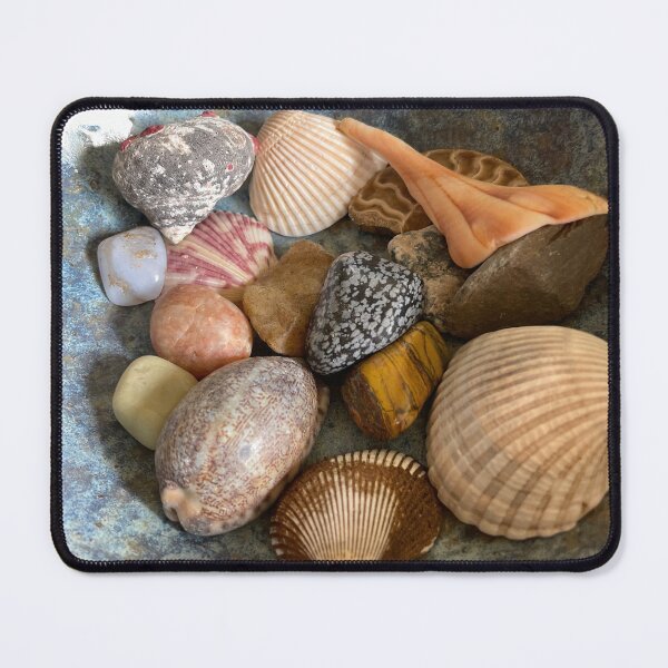 Item preview, Sacred Shells and Stones designed and sold by J. Robin Whitley.