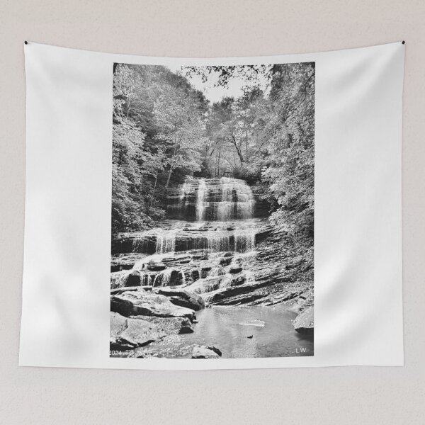 Item preview, Black And White Pearson Falls North Carolina designed and sold by LisaWootenPhoto.