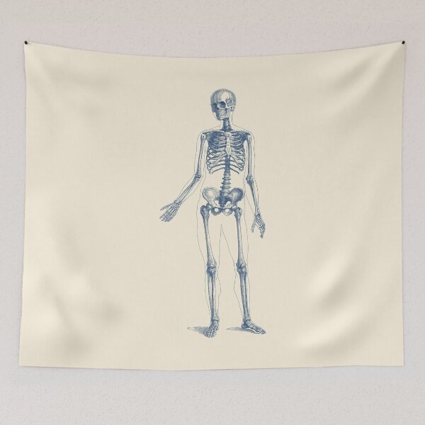 Item preview, Walking Skeleton - Vintage Anatomy Print designed and sold by VAposters.
