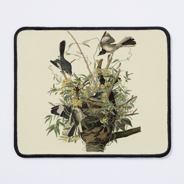 Item preview, Rattlesnake, Mockingbird and Jasmine Wildlife Botanical Illustration designed and sold by taiche.