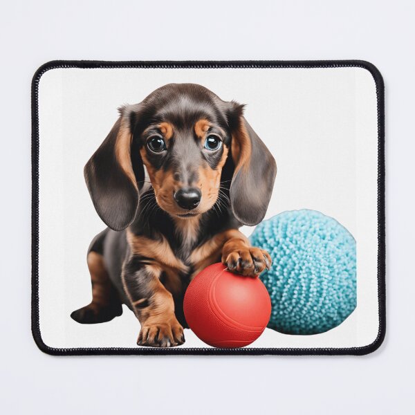 Item preview, Dachshund puppy ready to play designed and sold by jennakay3.