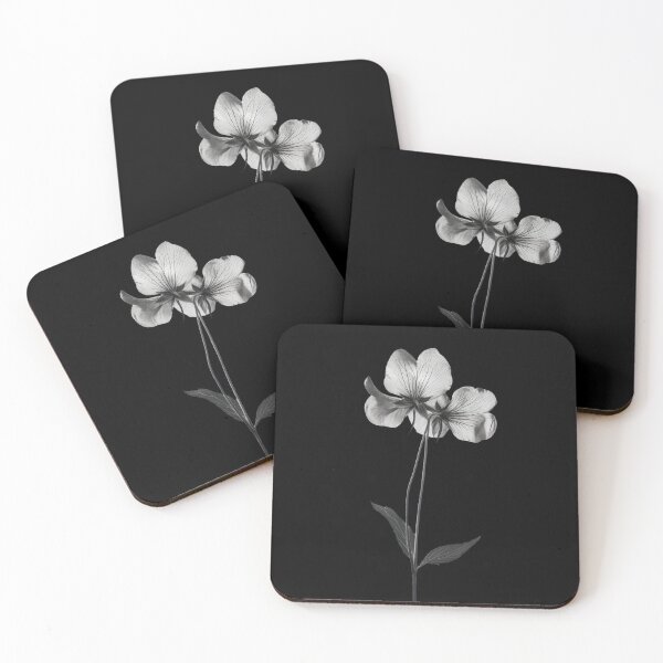 Item preview, Black and White Bladder Campion Flower v2 designed and sold by PiranhaEatFashion.