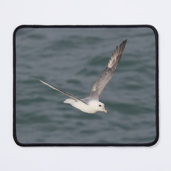Item preview, Fulmar designed and sold by LaurenTucker.