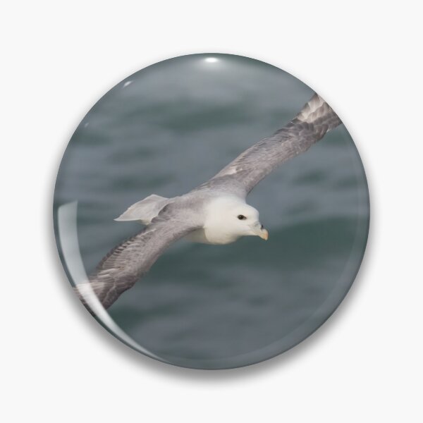 Item preview, Fulmar designed and sold by LaurenTucker.