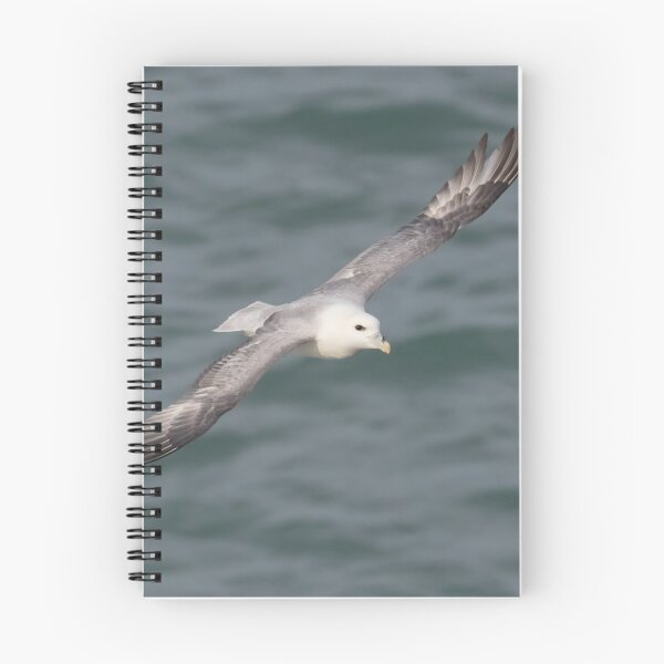 Item preview, Fulmar designed and sold by LaurenTucker.