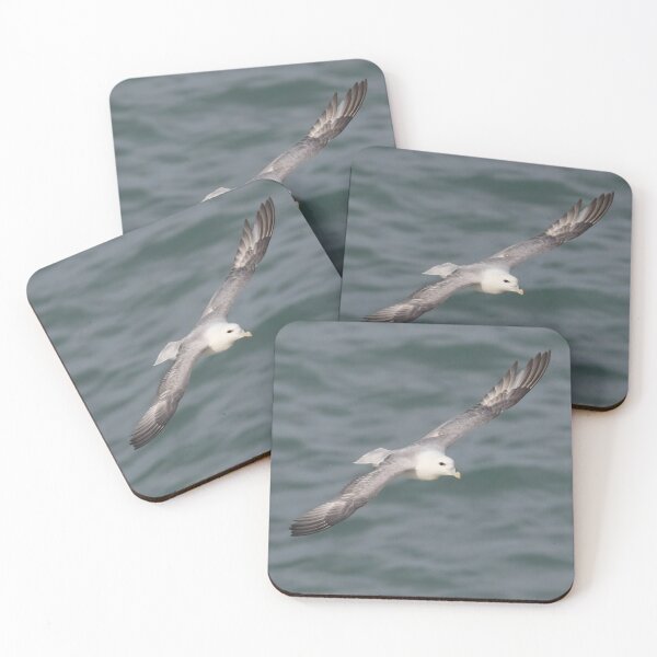 Item preview, Fulmar designed and sold by LaurenTucker.