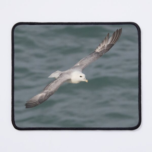 Item preview, Fulmar designed and sold by LaurenTucker.