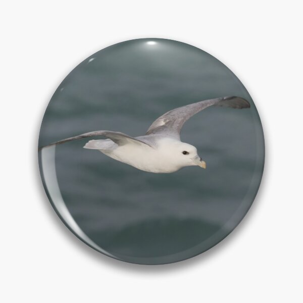 Item preview, Fulmar designed and sold by LaurenTucker.