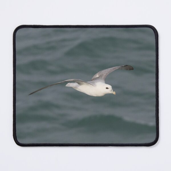 Item preview, Fulmar designed and sold by LaurenTucker.