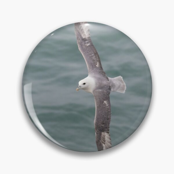 Item preview, Fulmar designed and sold by LaurenTucker.