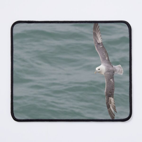 Item preview, Fulmar designed and sold by LaurenTucker.