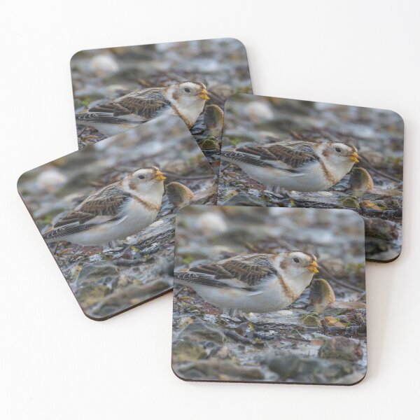 Item preview, Snow Bunting designed and sold by LaurenTucker.