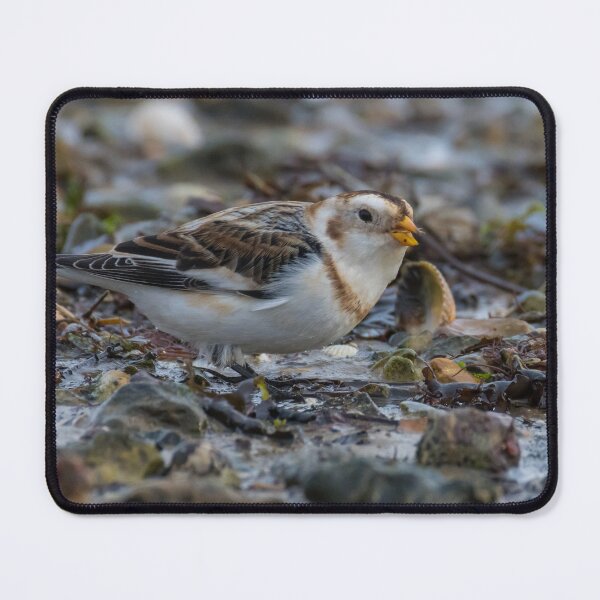 Item preview, Snow Bunting designed and sold by LaurenTucker.