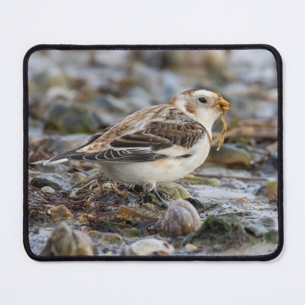 Item preview, Snow Bunting designed and sold by LaurenTucker.