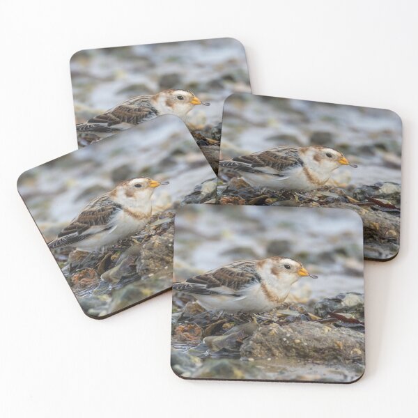 Item preview, Snow Bunting designed and sold by LaurenTucker.