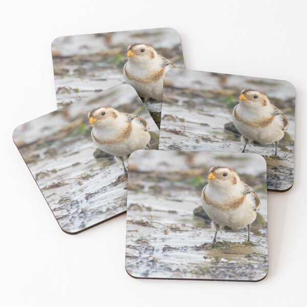 Item preview, Snow Bunting designed and sold by LaurenTucker.