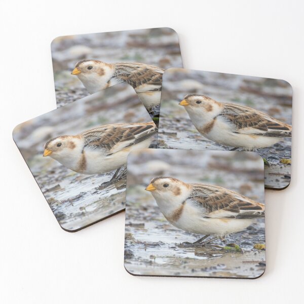 Item preview, Snow Bunting designed and sold by LaurenTucker.