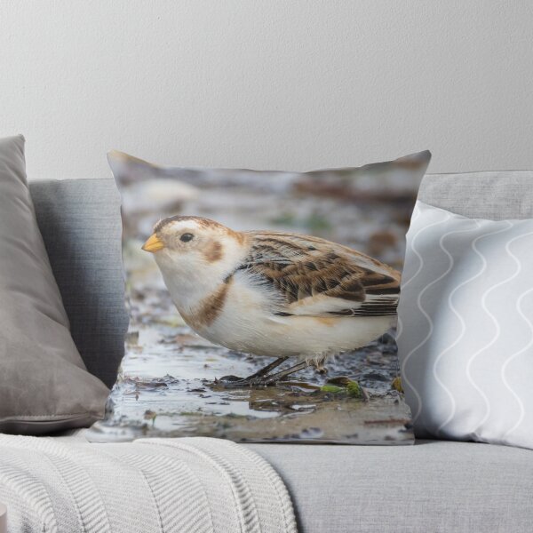Item preview, Snow Bunting designed and sold by LaurenTucker.