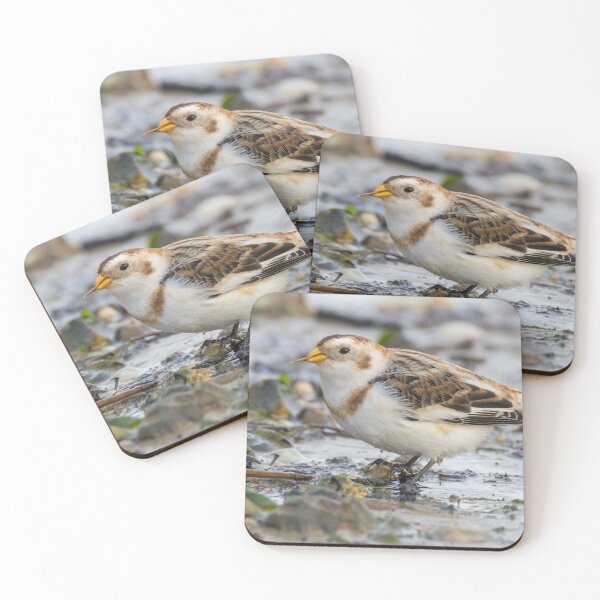 Item preview, Snow Bunting designed and sold by LaurenTucker.