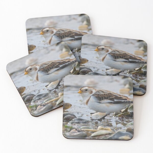 Item preview, Snow Bunting designed and sold by LaurenTucker.