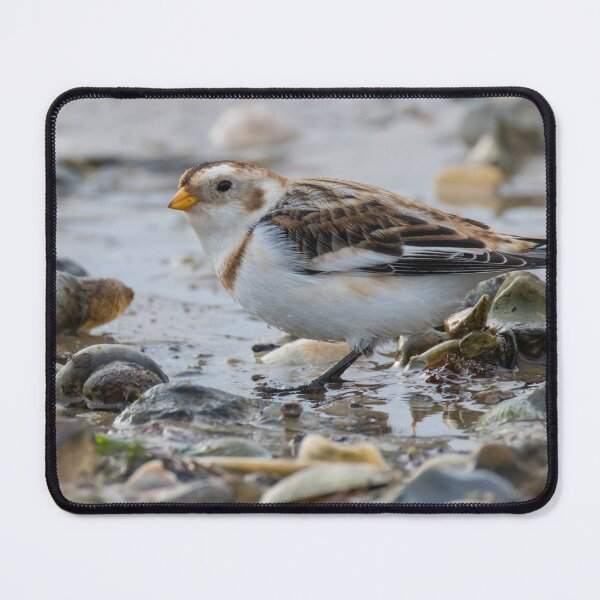 Item preview, Snow Bunting designed and sold by LaurenTucker.